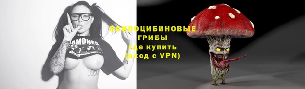 прущая мука Абаза