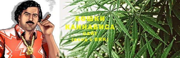 сатива Абинск