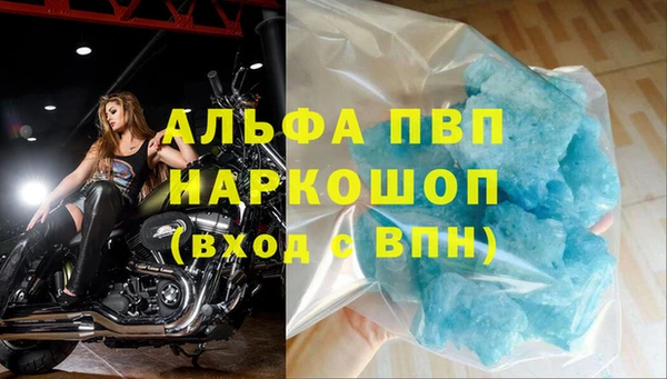 сатива Абинск