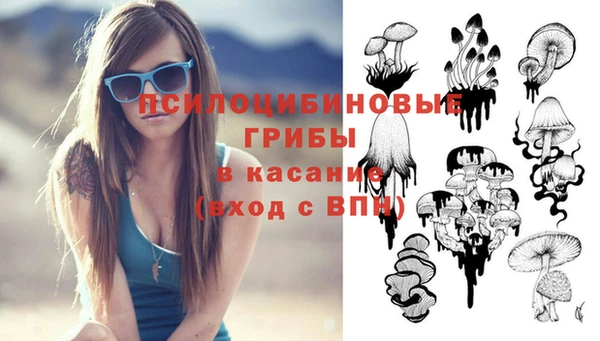 прущая мука Абаза