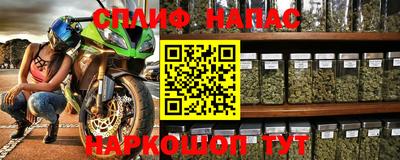 стафф Краснознаменск