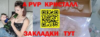 стафф Краснознаменск