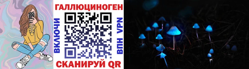 Псилоцибиновые грибы Psilocybe  Электросталь 