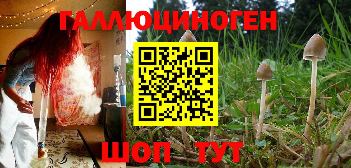 Псилоцибиновые грибы ЛСД Электросталь