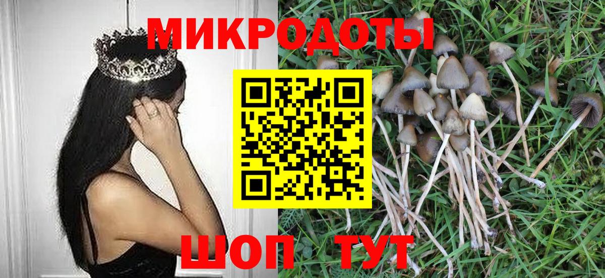Галлюциногенные грибы Psilocybine cubensis  купить наркотики сайты  Электросталь  Вход с VPN 